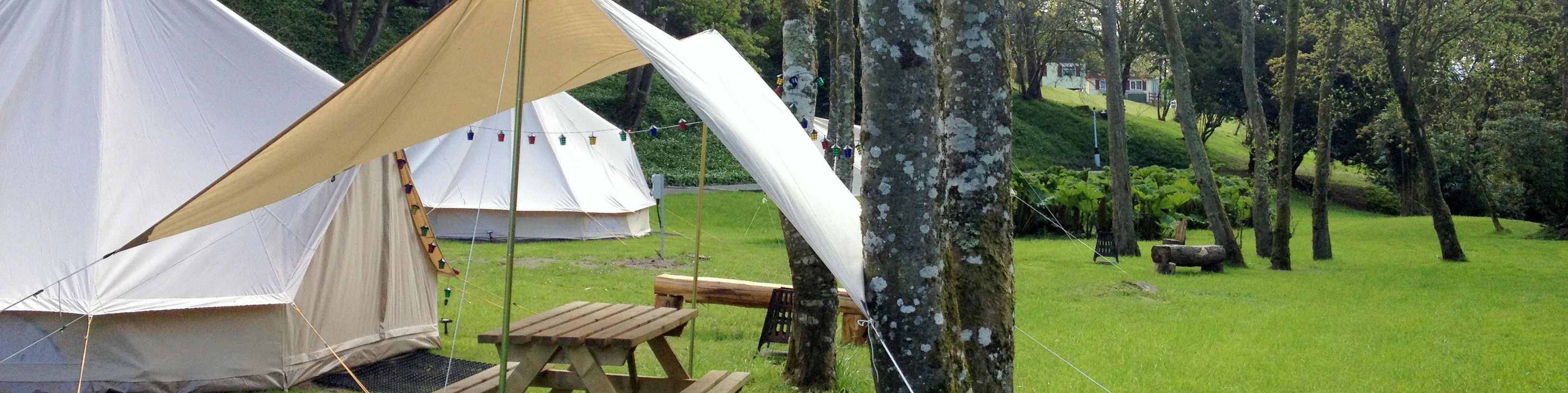 Bell tent among trees at Llwyngwair