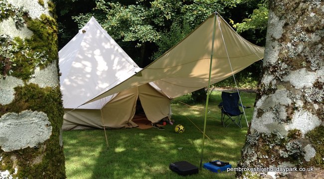 Bell tent under the trees
