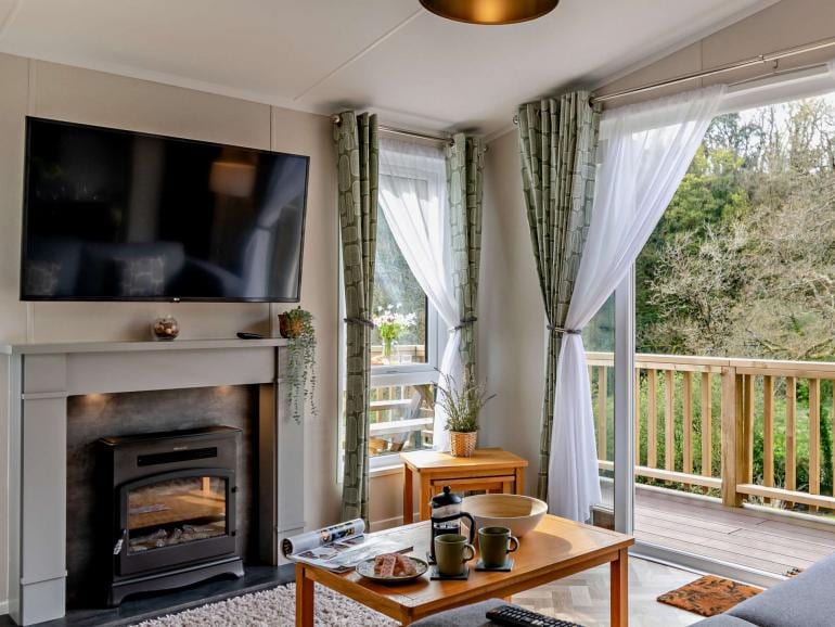 Lodge living area at Llwyngwair