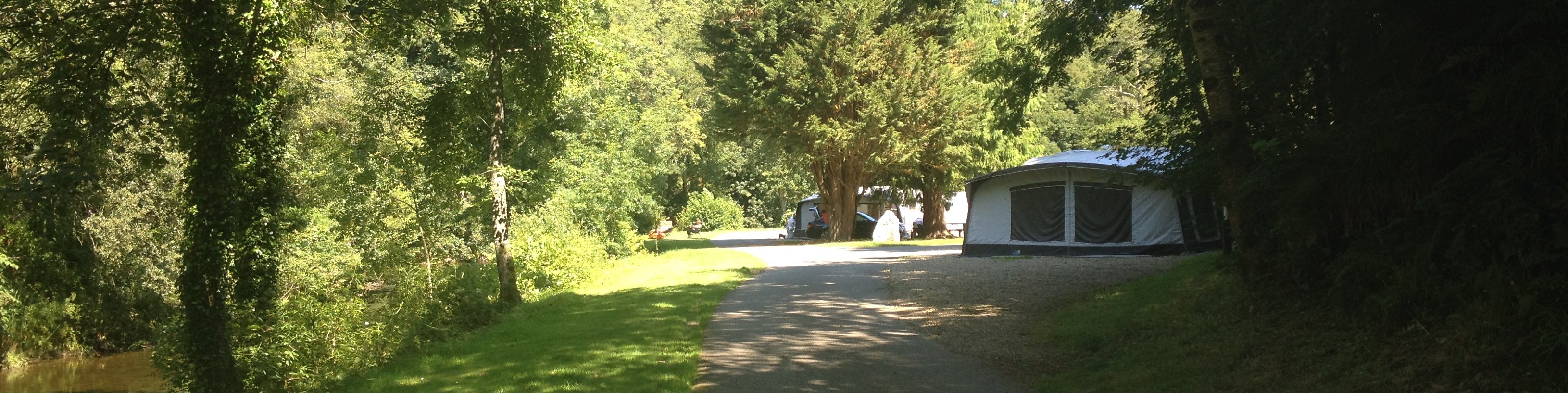 Tents in the meadow at Llwyngwair