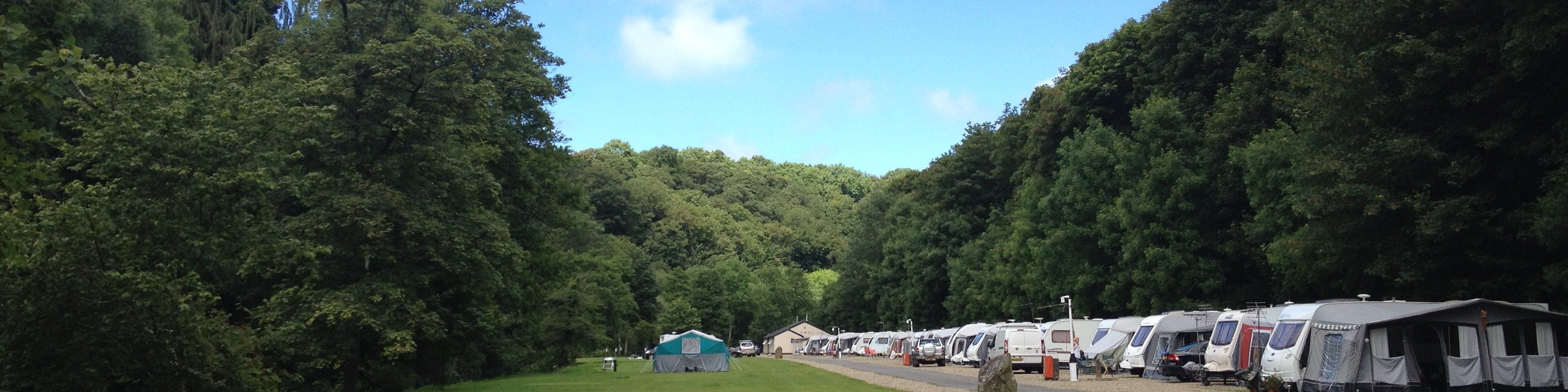 Touring pitches at Llwyngwair