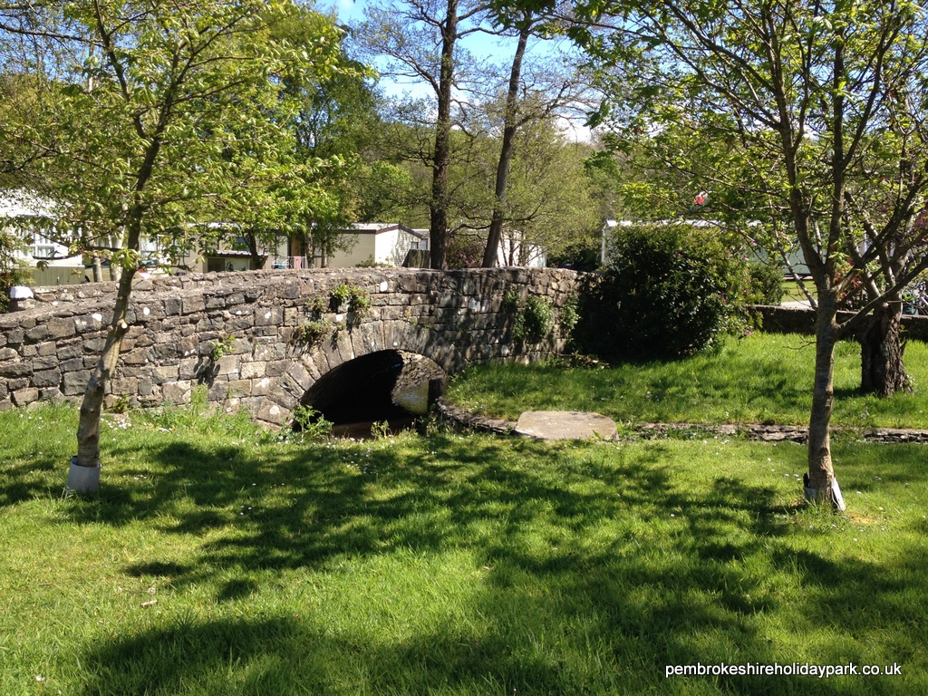 A walk from Llwyngwair Manor